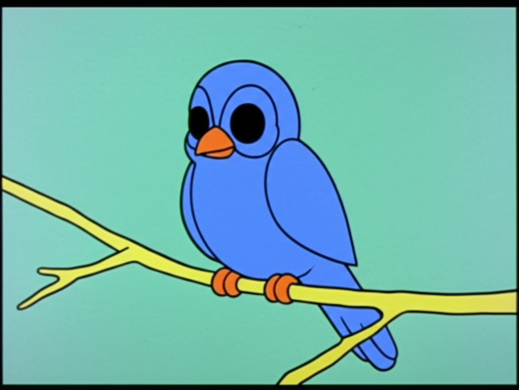 bird